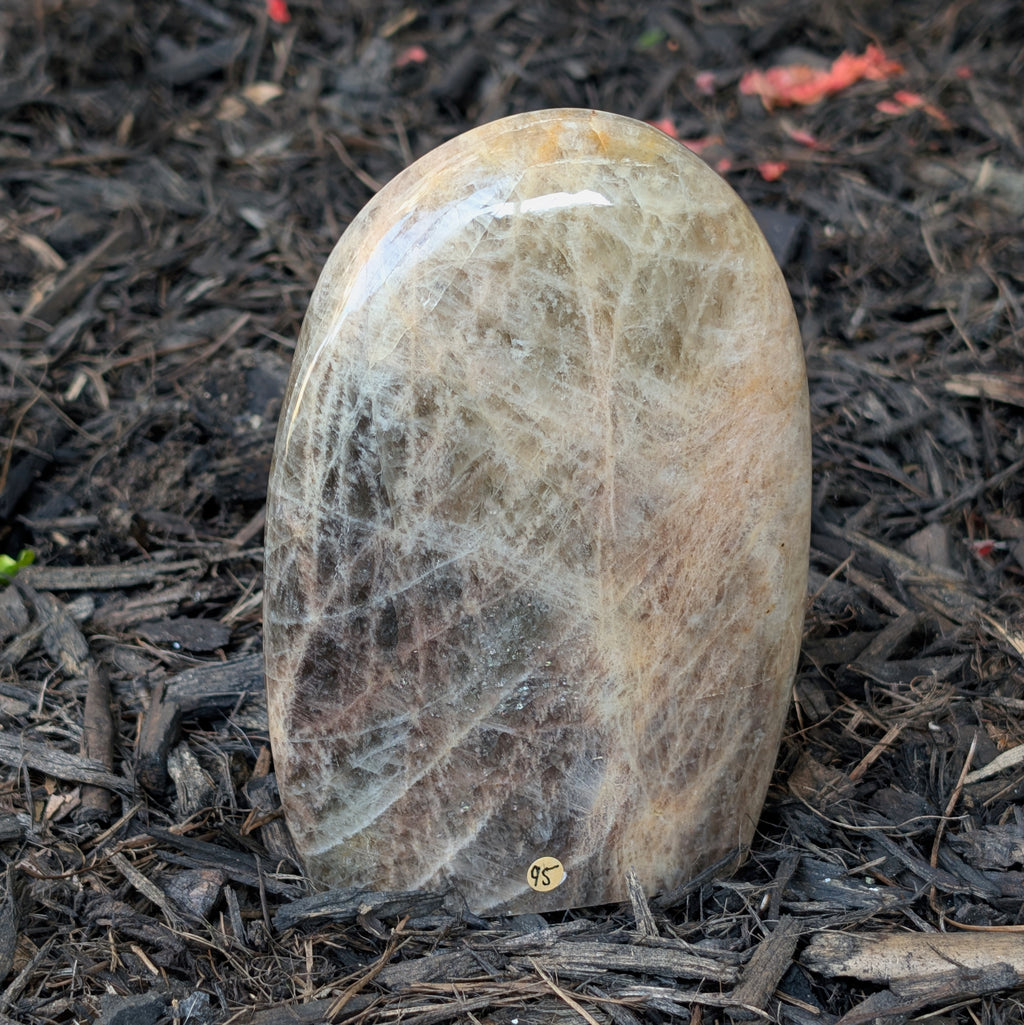 Black Moonstone Dome