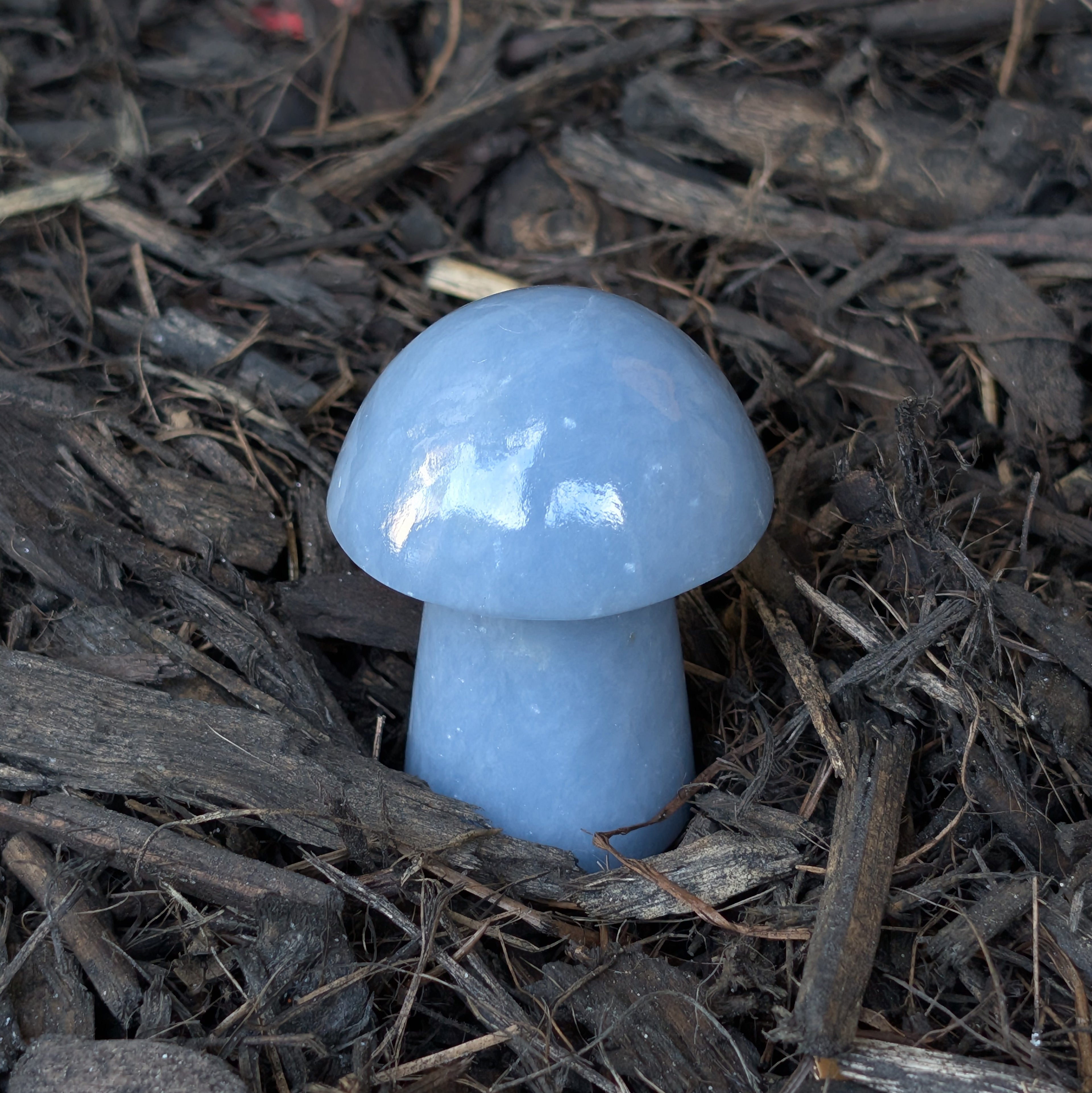 Angelite Mushroom