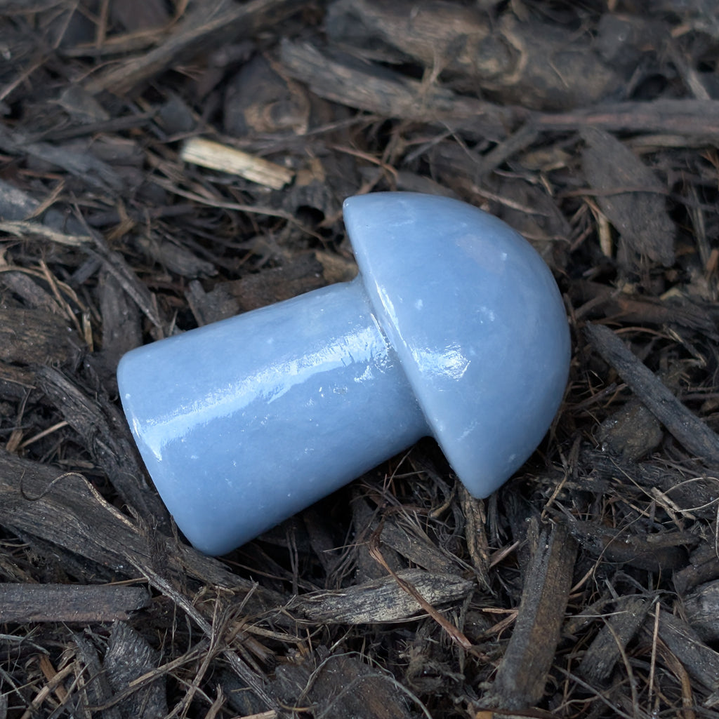 Angelite Mushroom