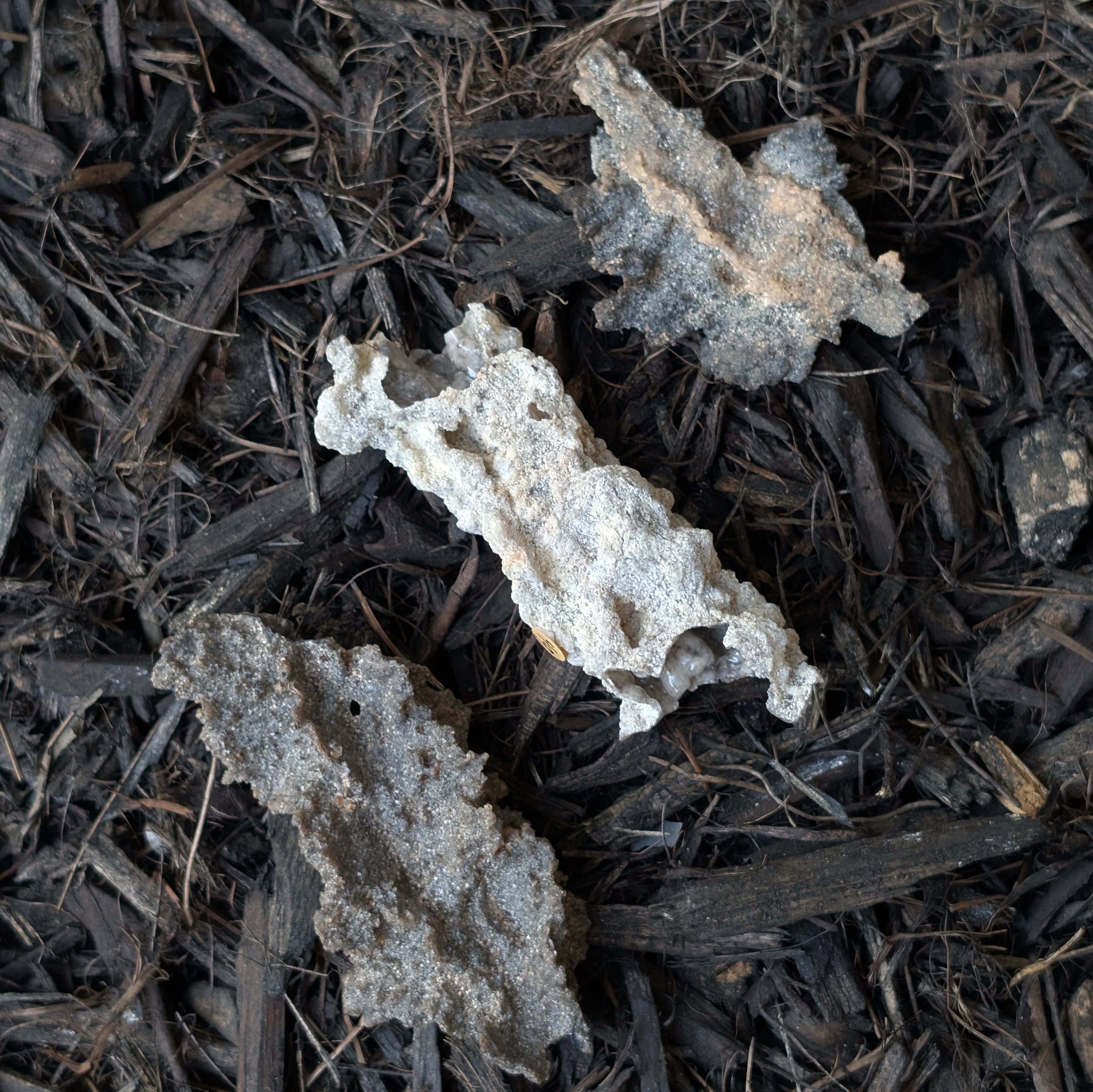 Fulgurite