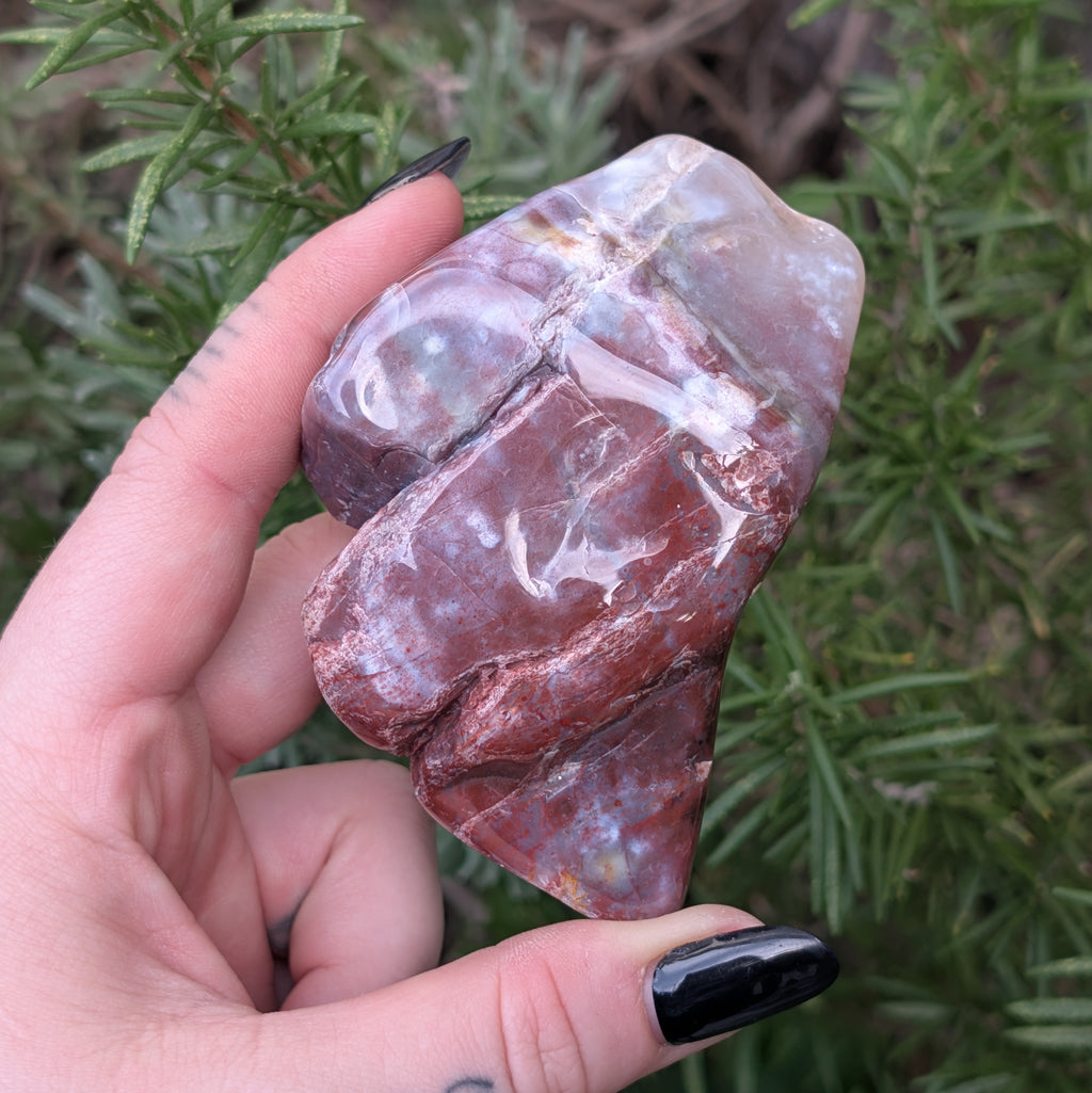 Petrified Wood