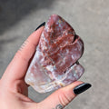 Petrified Wood