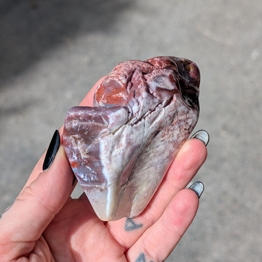 Petrified Wood