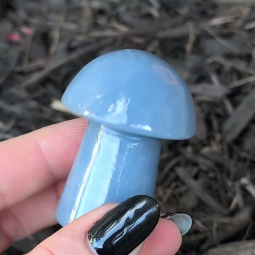 Angelite Mushroom